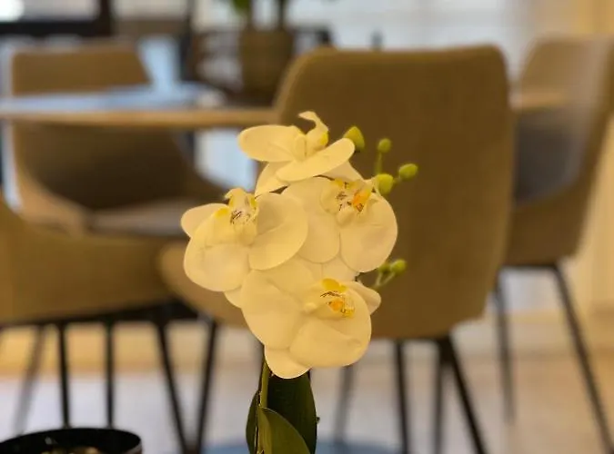 Sublime Coeur Apartamento