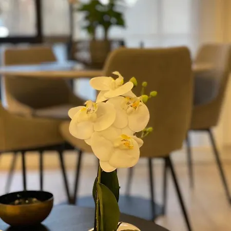 Sublime Coeur Apartment